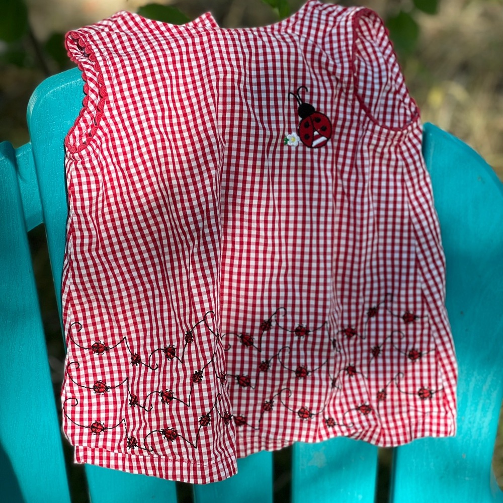 Ladybug Dress 24m by Starting Out